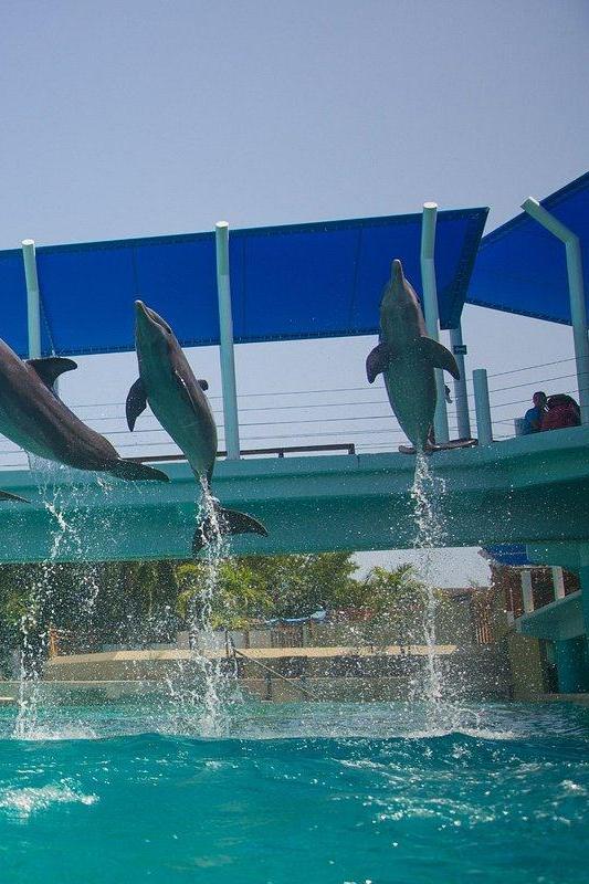 Acuario Interactivo Cancún